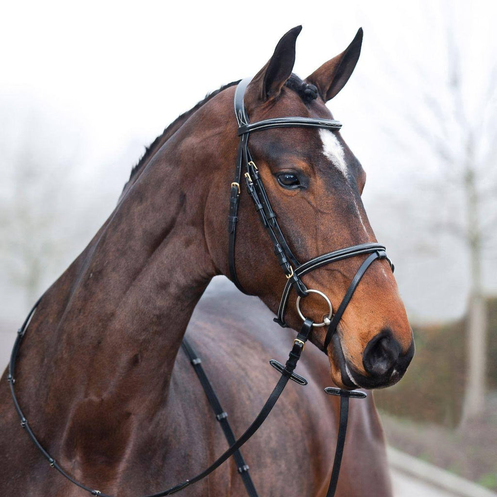 Padded Flash Bridle J80956
